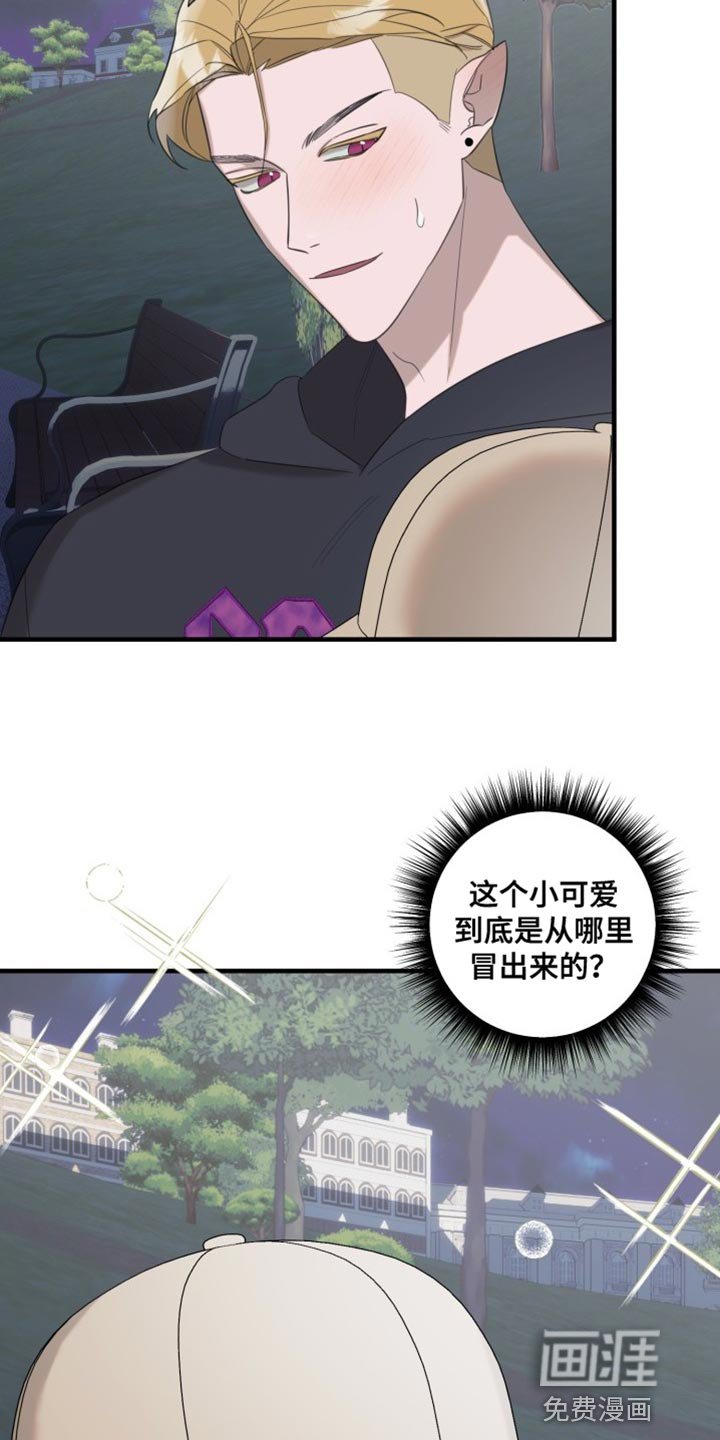 第12章：欺骗人类