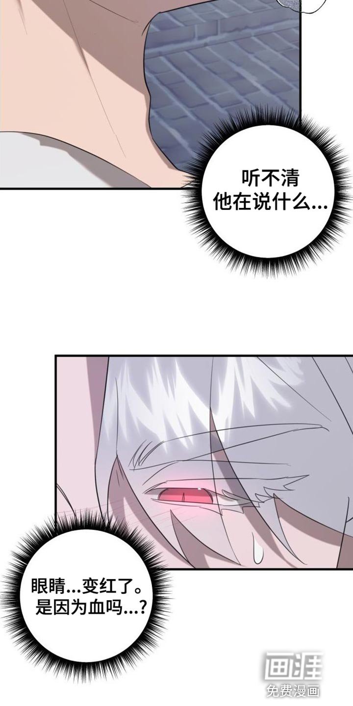 第15章：变成吸血鬼