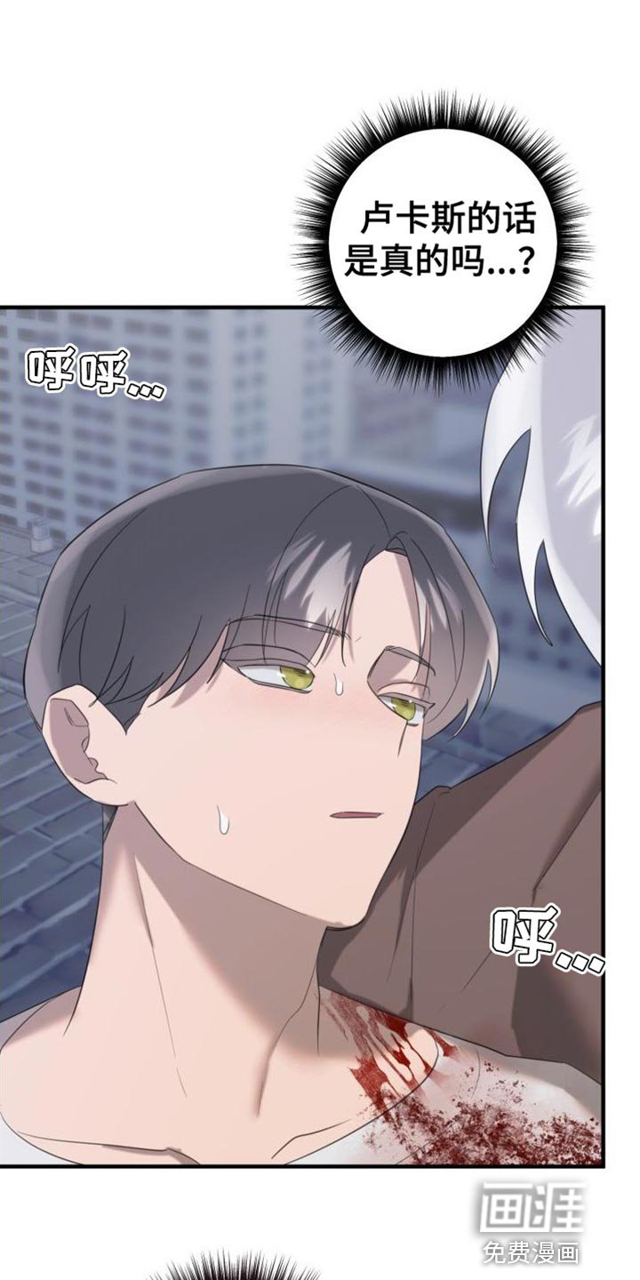 第15章：变成吸血鬼