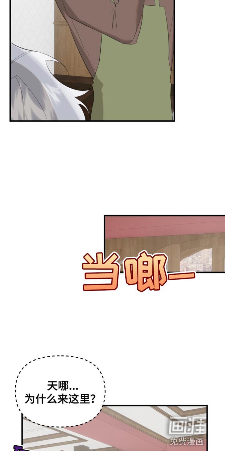 第18章：道歉
