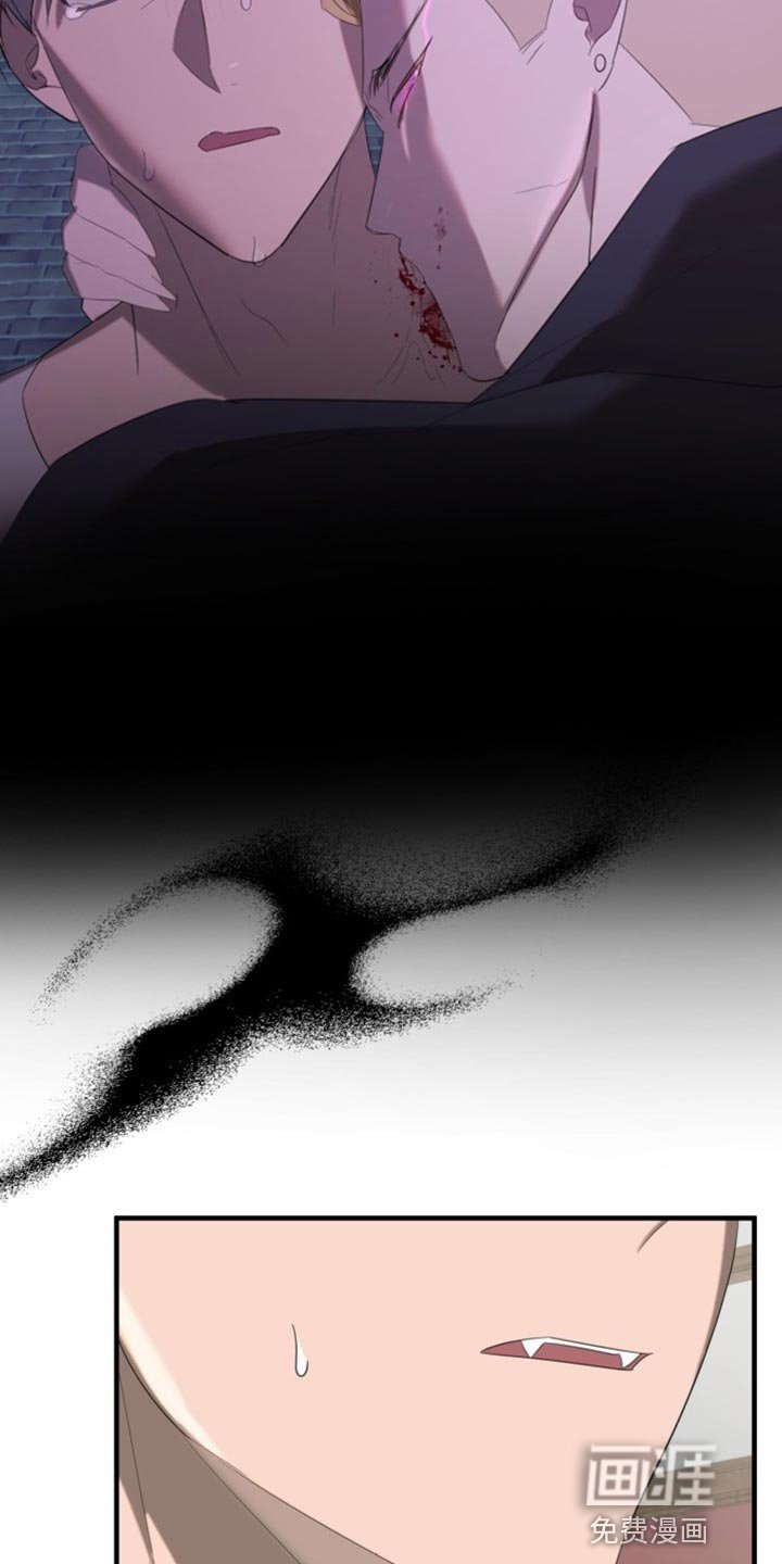 第18章：道歉