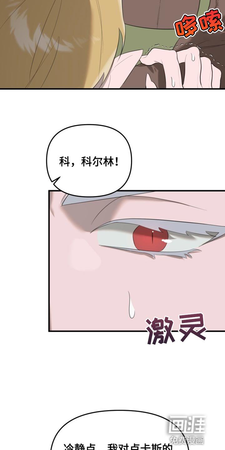 第19章：完美的生活【完结】