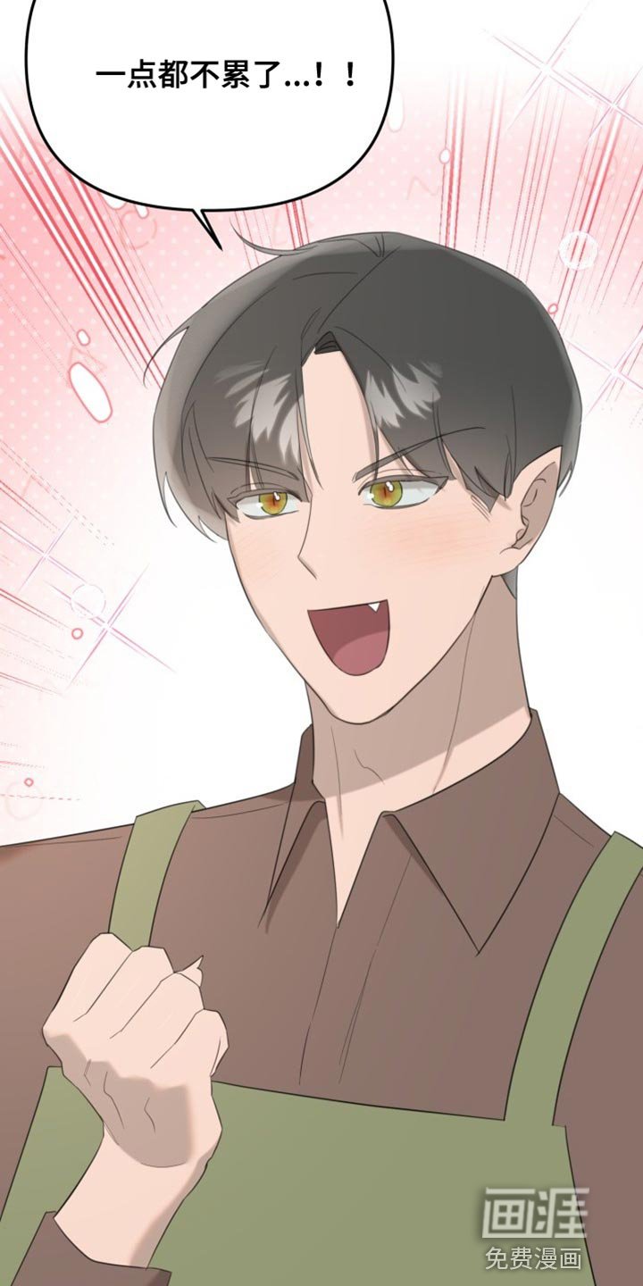 第19章：完美的生活【完结】