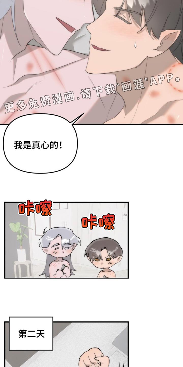 第19章：完美的生活【完结】