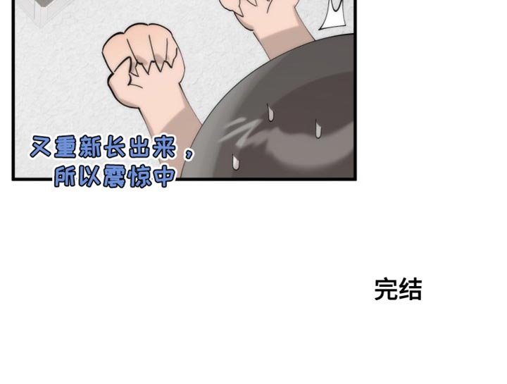 第19章：完美的生活【完结】