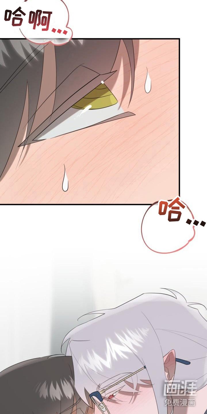 第9章：婉拒