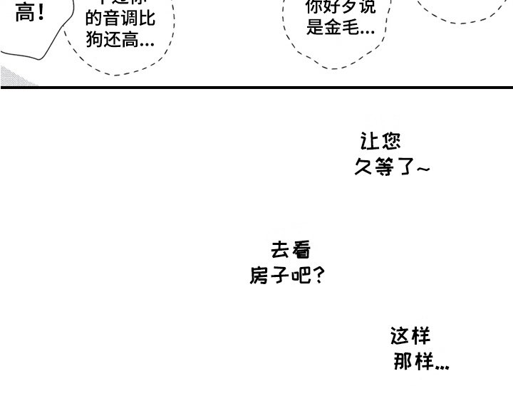 第19章：好主意