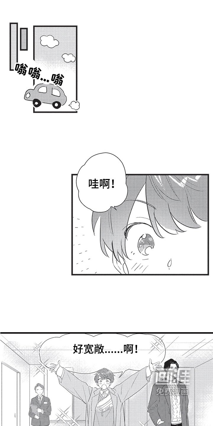 第20章：决定