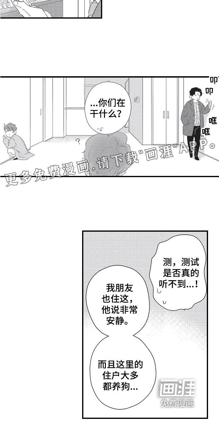 第20章：决定