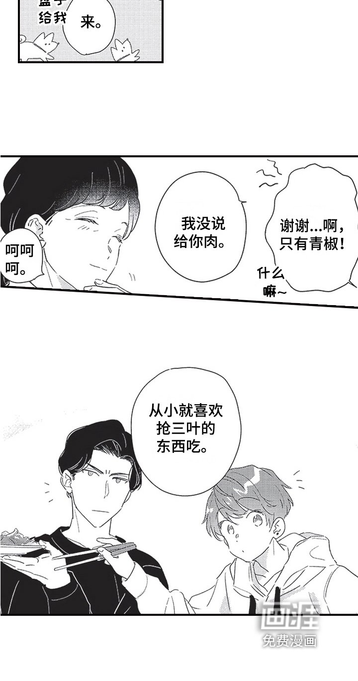第20章：决定