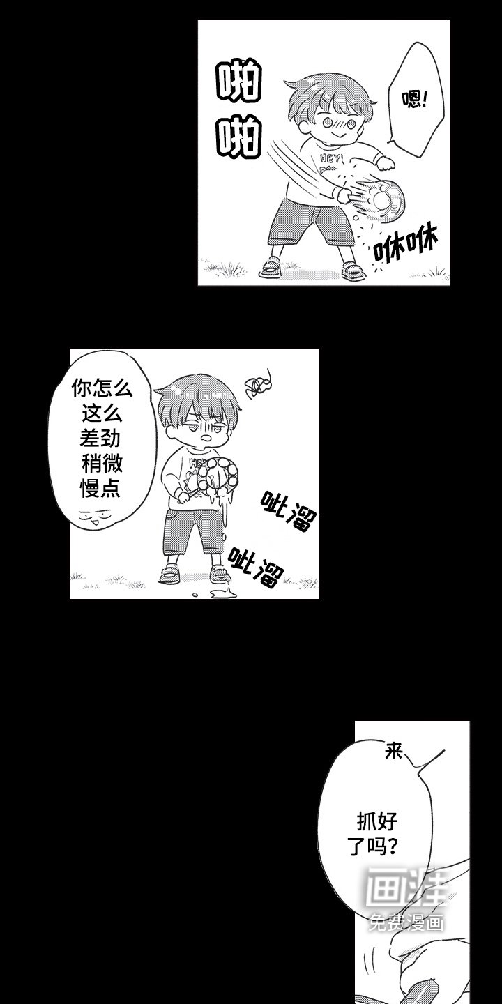 第6章：心意