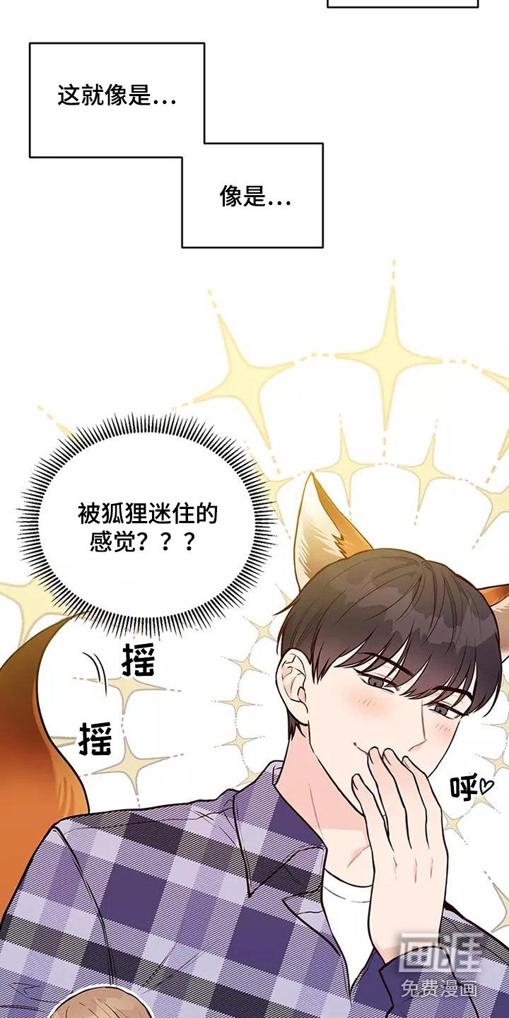第20章：胡思乱想