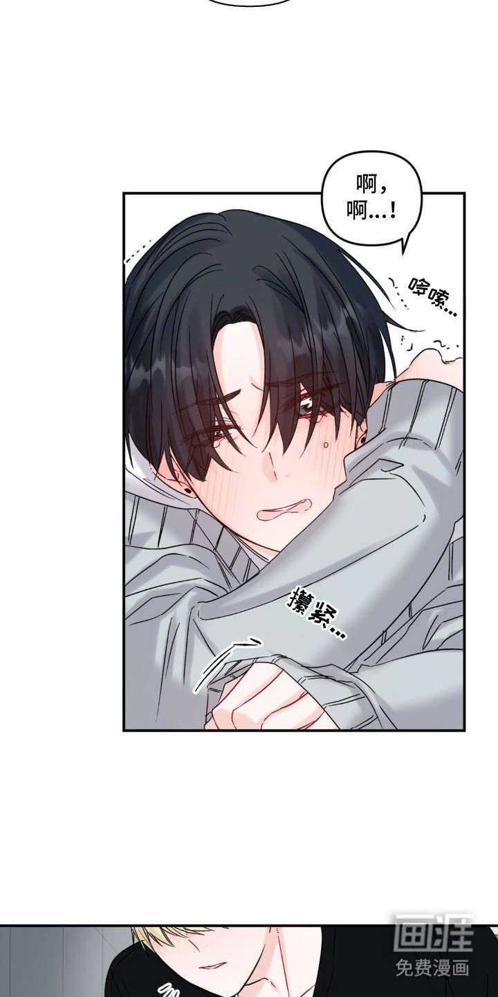 第6章：疯狗