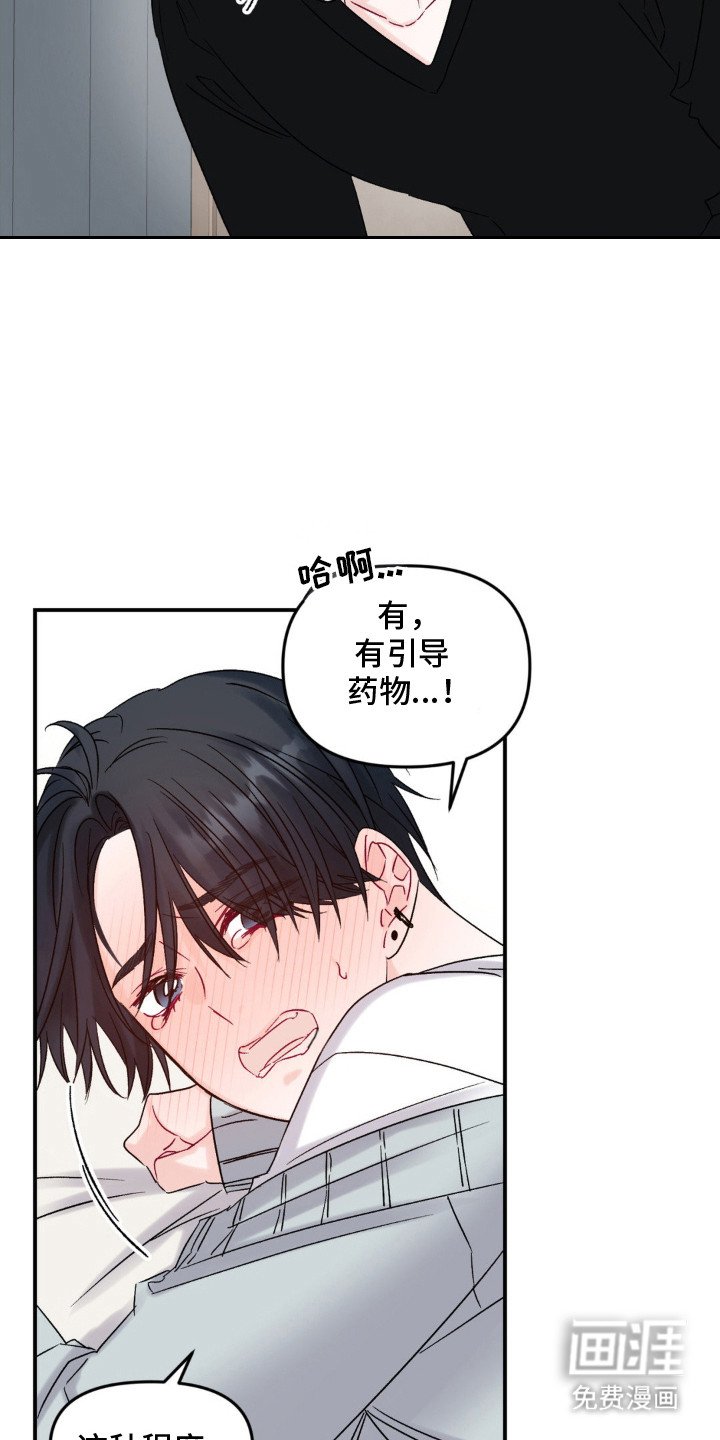 第6章：疯狗