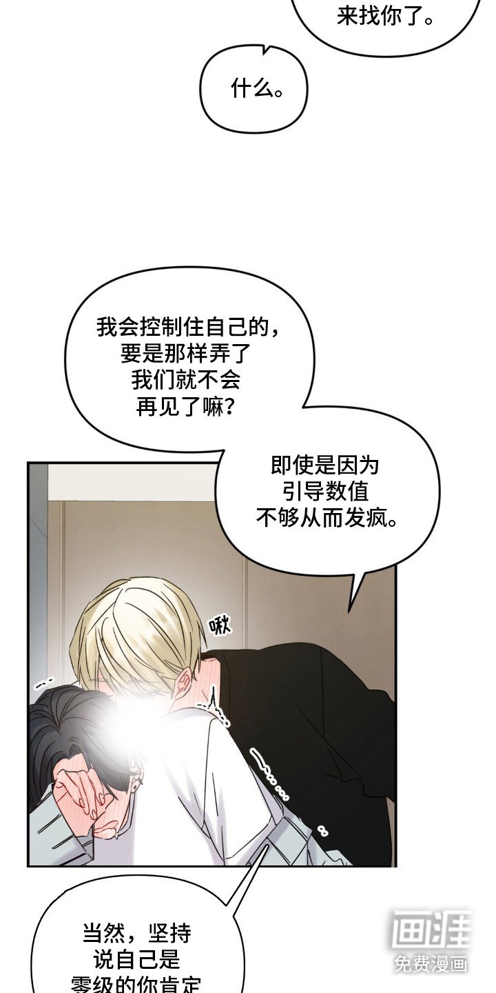 第6章：疯狗