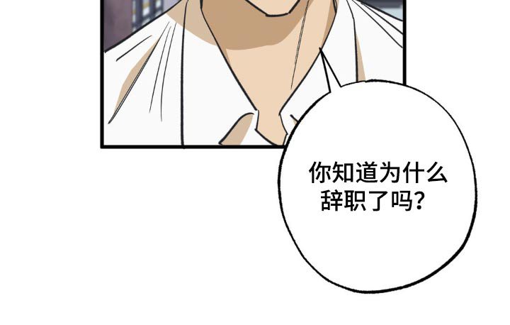 第108章：不是那意思