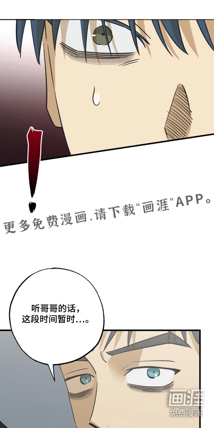 第109章：聊什么