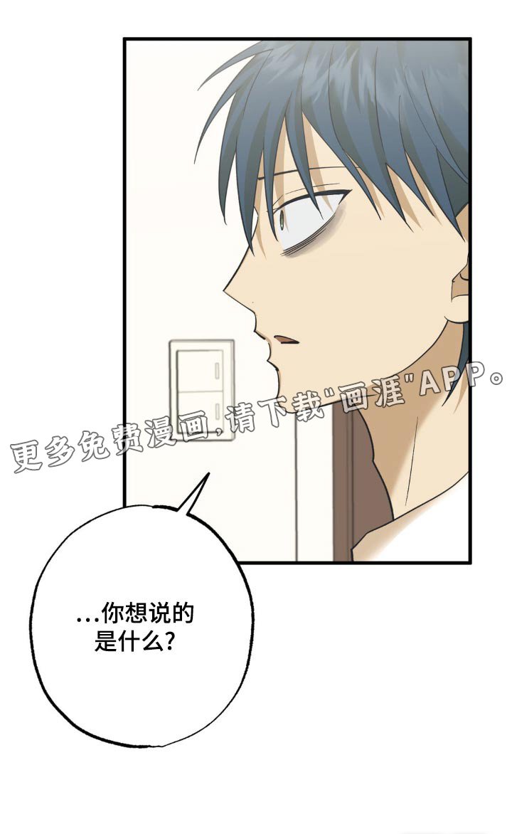 第109章：聊什么
