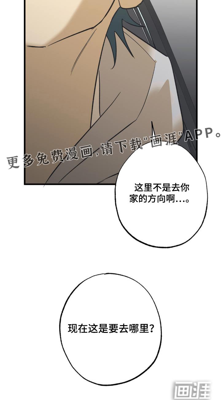 第114章：要去哪里