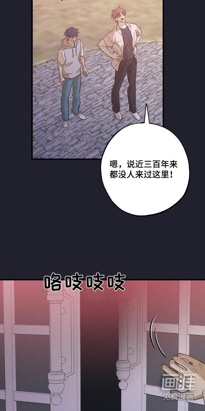 第115章：幻想