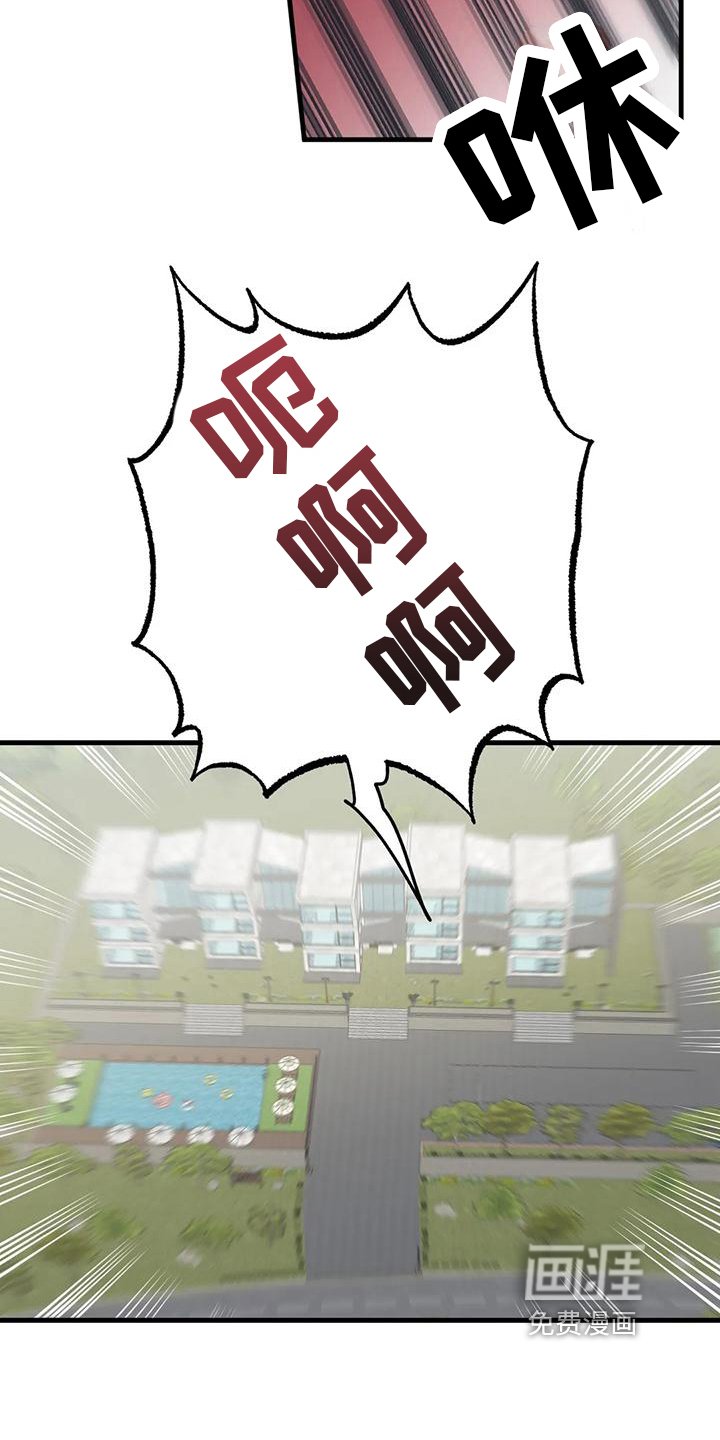 第13章：活动项目