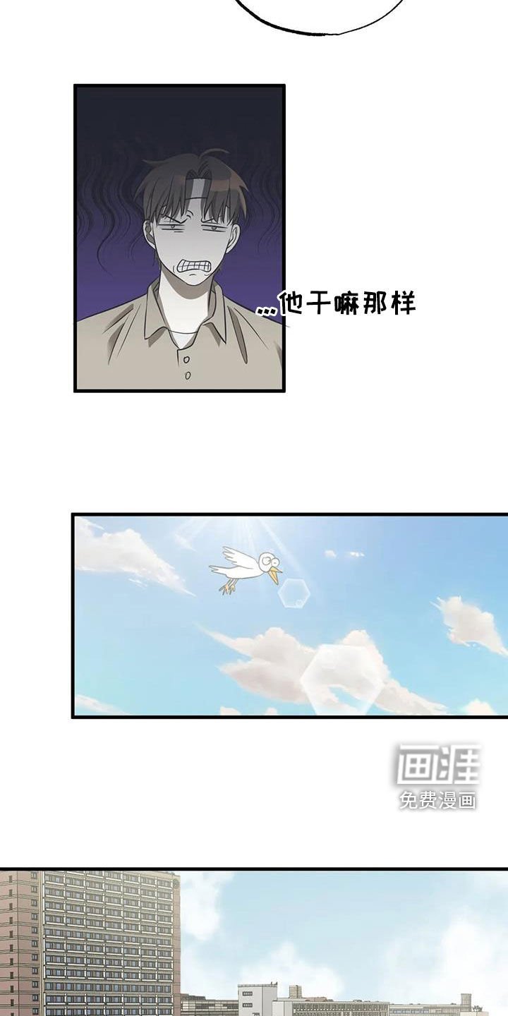 第23章：机会