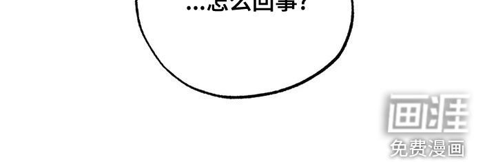 第32章：怎么回事