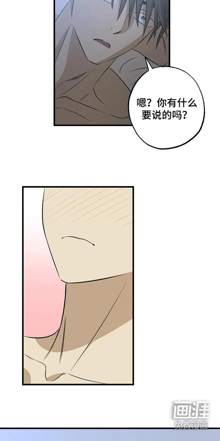 第62章：很喜欢
