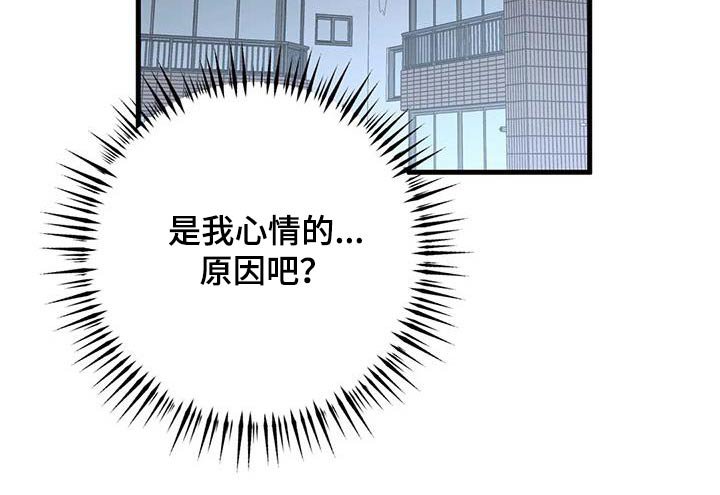 第66章：原因