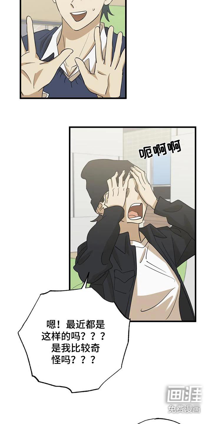 第76章：交往关系