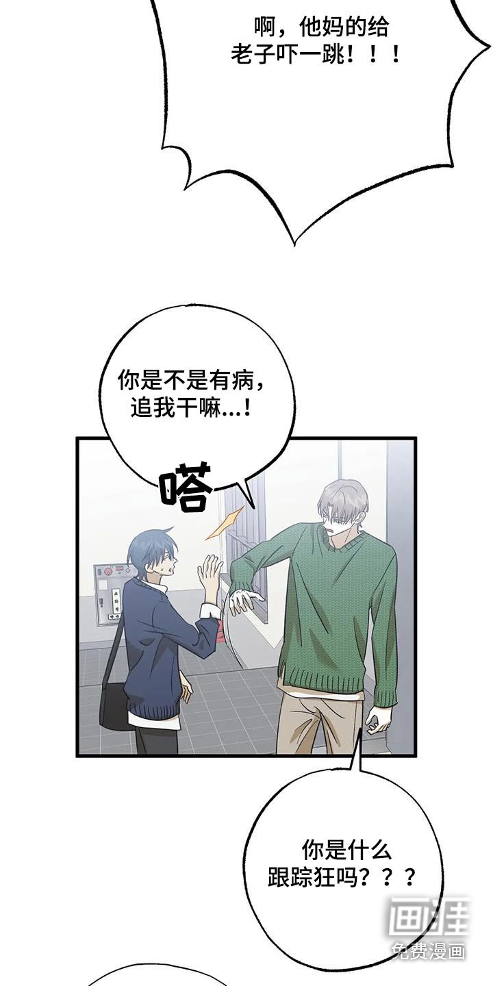 第77章：解释