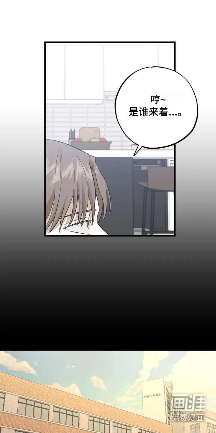 第79章：朋友