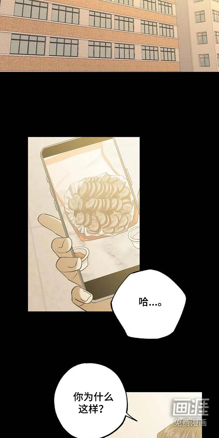 第79章：朋友