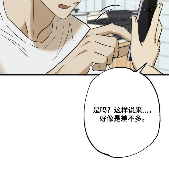 第90章：新手机