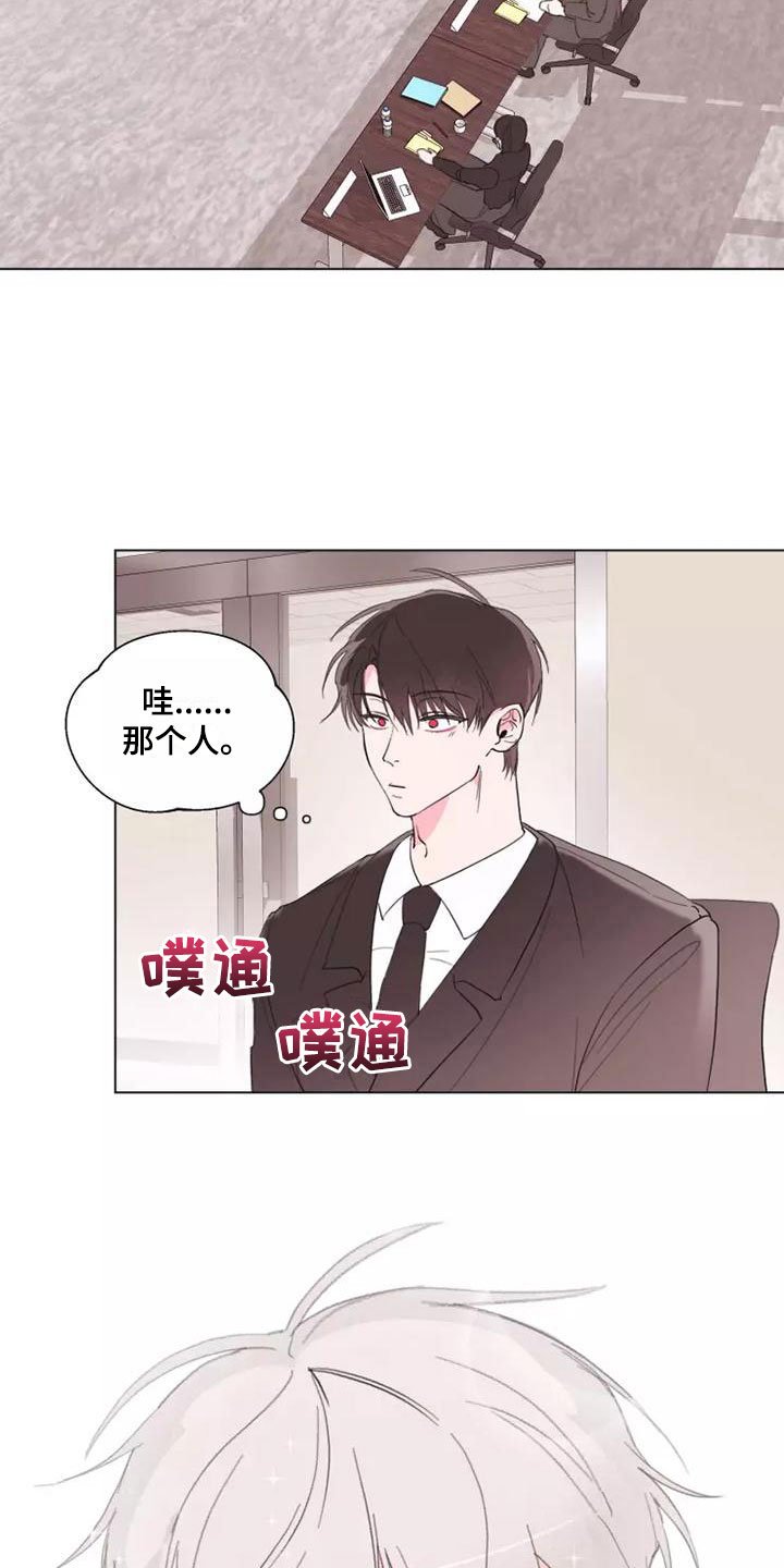 第1章：特殊的面试