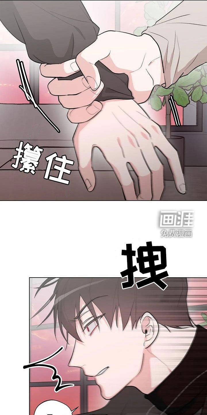第29章：又见面了