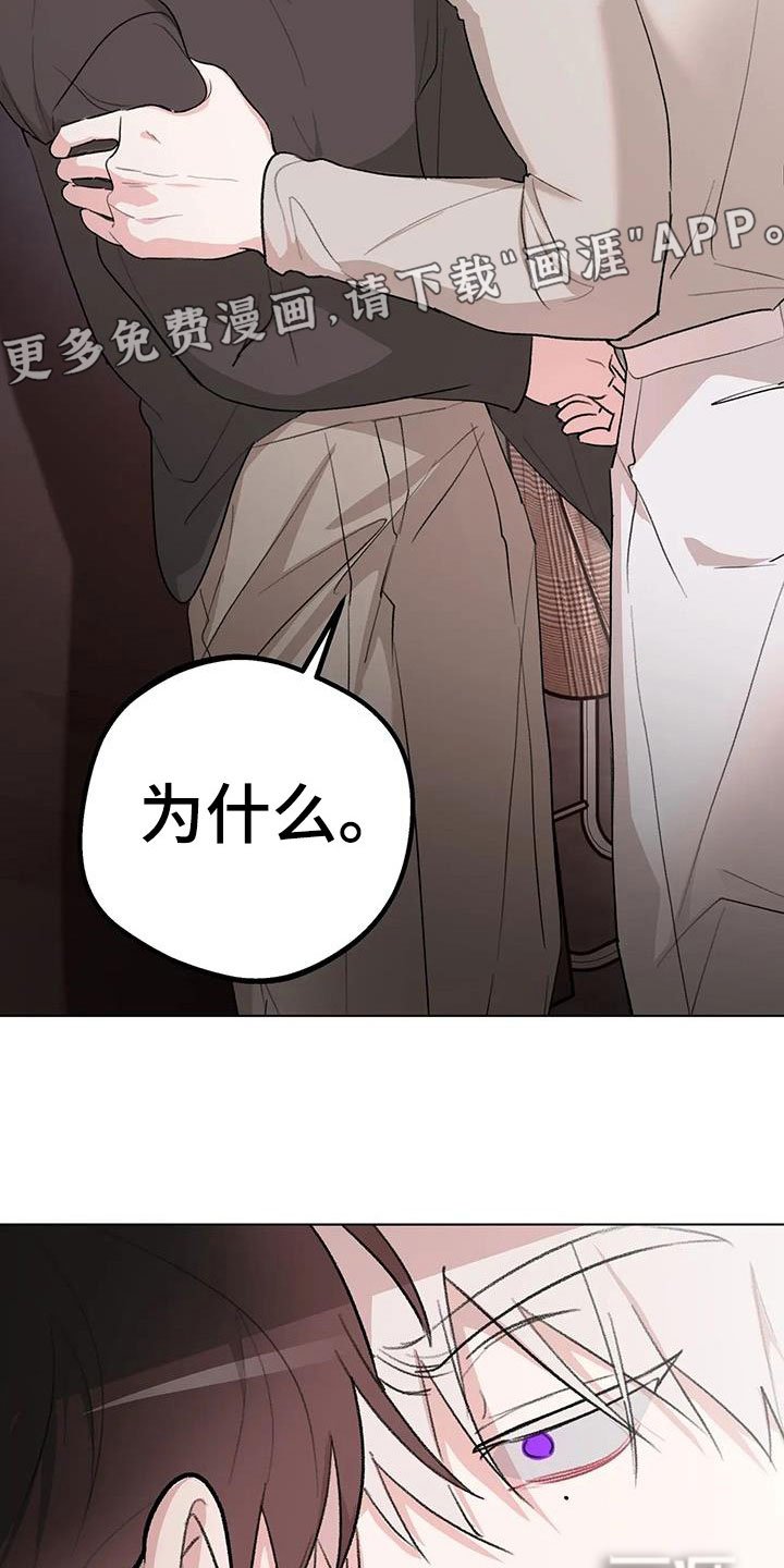 第29章：又见面了