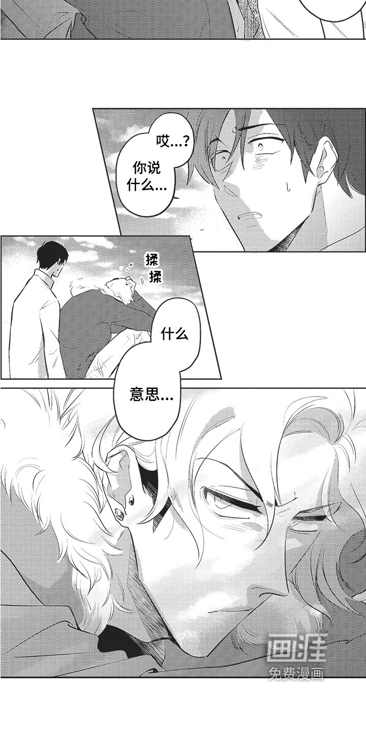 第15章：表白