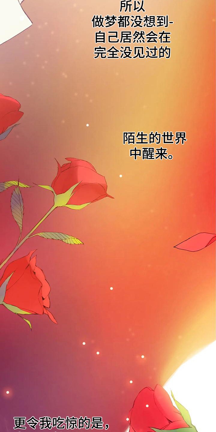 第1章：身份