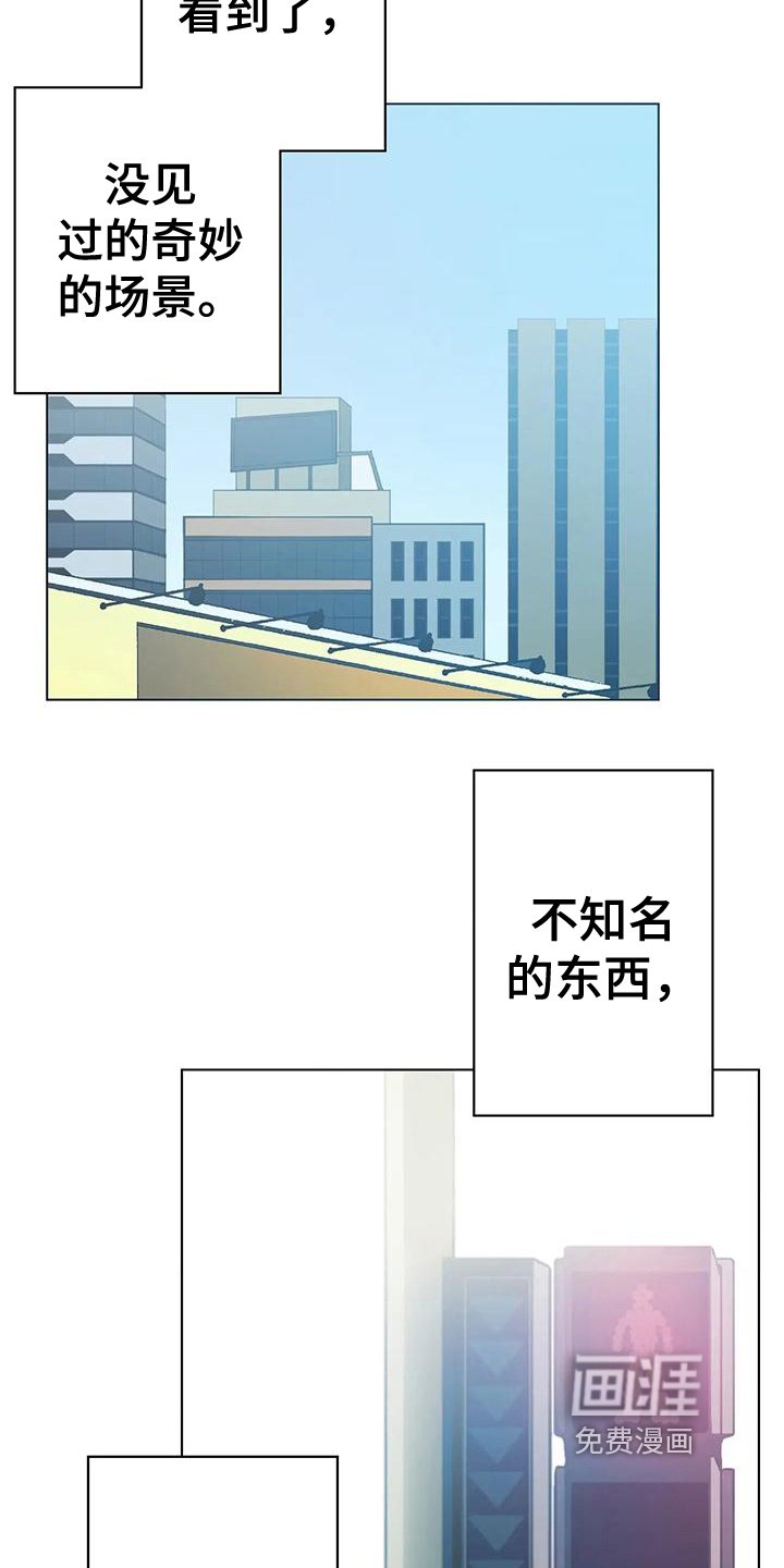 第10章：怀疑