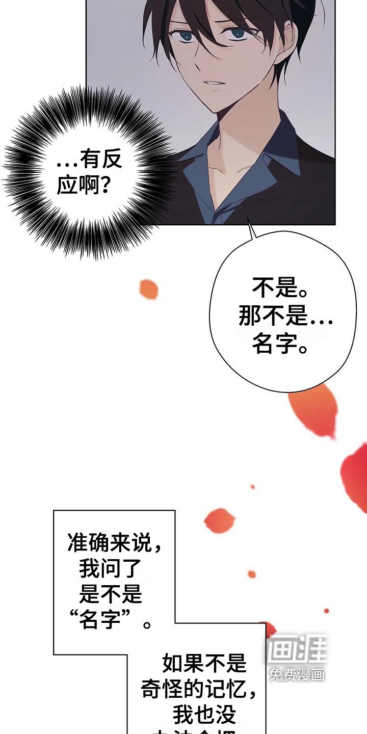 第11章：名字