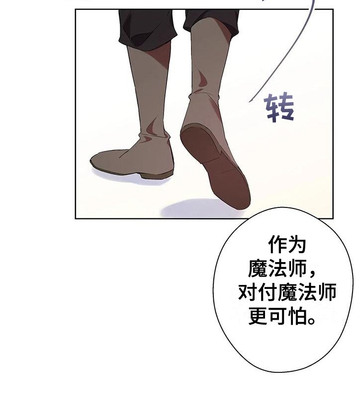 第12章：调查