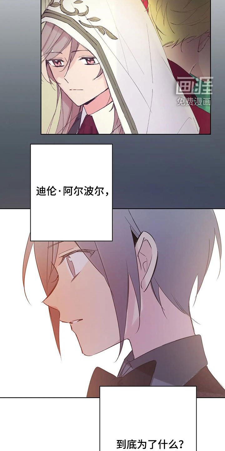 第15章：有点像
