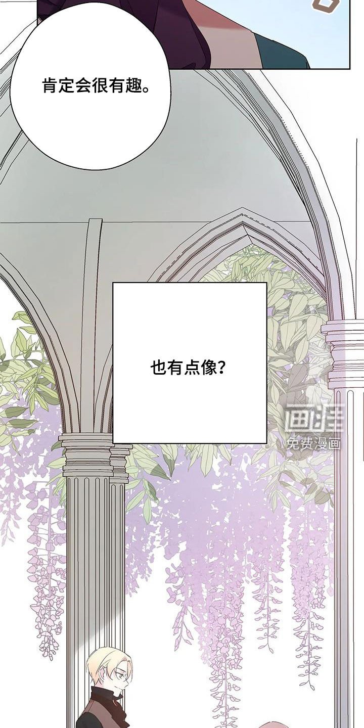 第15章：有点像