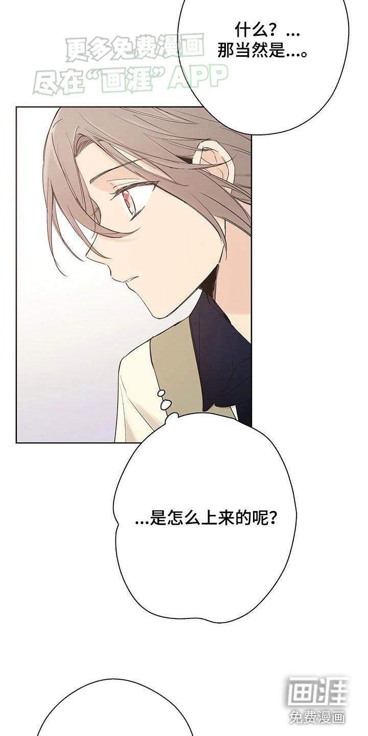 第19章：记忆