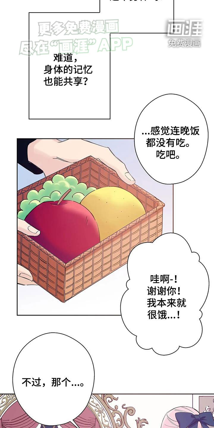 第19章：记忆