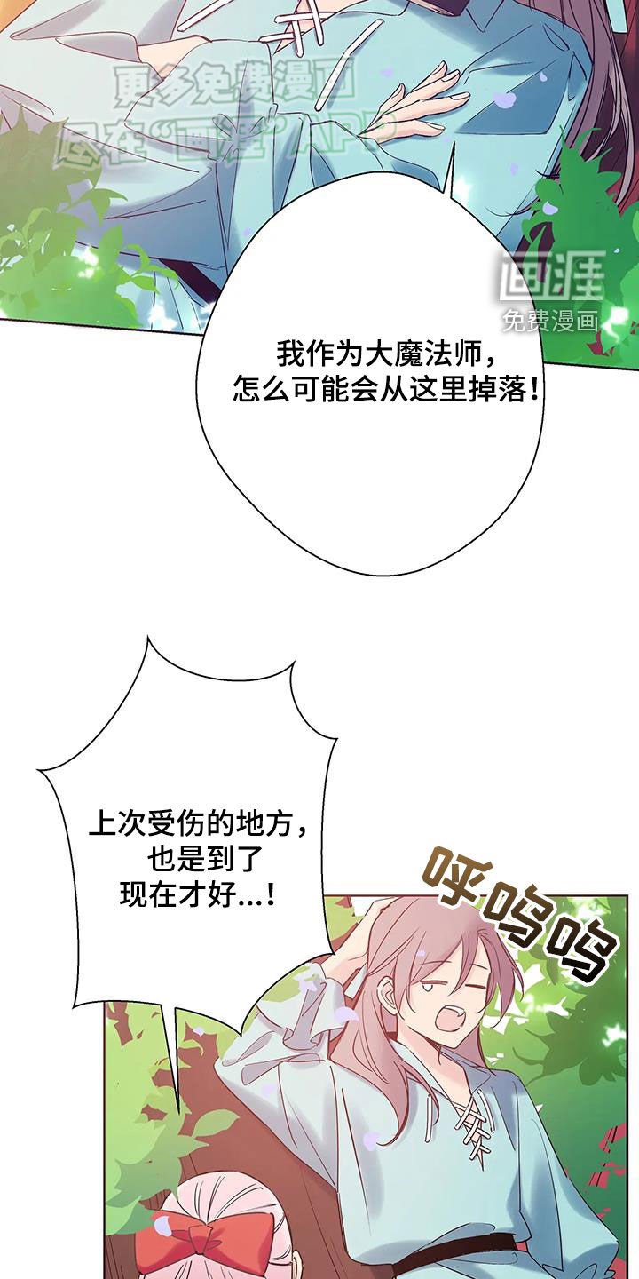第20章：生日礼物