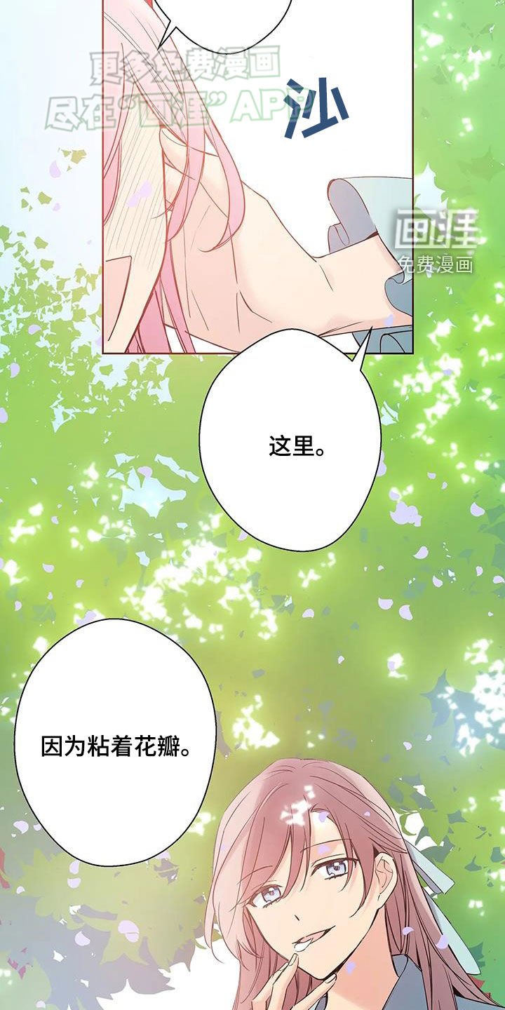 第20章：生日礼物