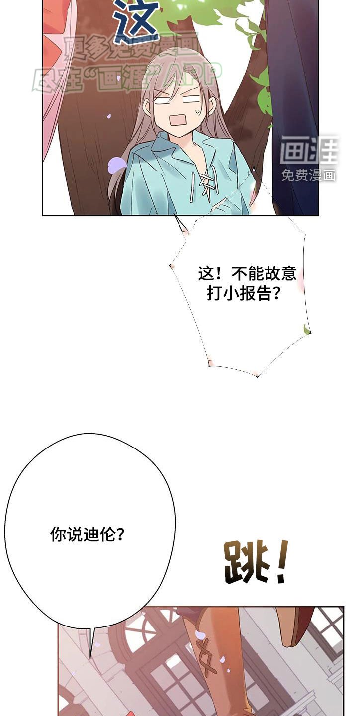 第20章：生日礼物