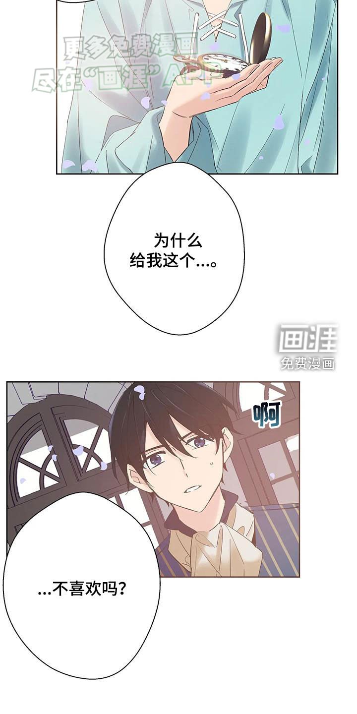 第20章：生日礼物